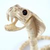 Cobra Skull Skeleton Halloween Horror Animal Decorations Simulation Animal Bones