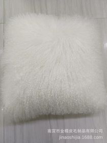 High-grade Fur Beach Wool Pillow (Option: White-45 X45cm With Core)