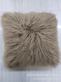 High-grade Fur Beach Wool Pillow (Option: Khaki-45 X45cm With Core)