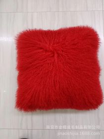 High-grade Fur Beach Wool Pillow (Option: Red-45 X45cm With Core)