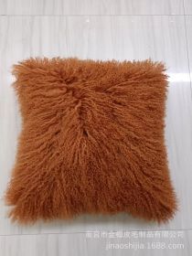 High-grade Fur Beach Wool Pillow (Option: Coffee-45 X45cm With Core)